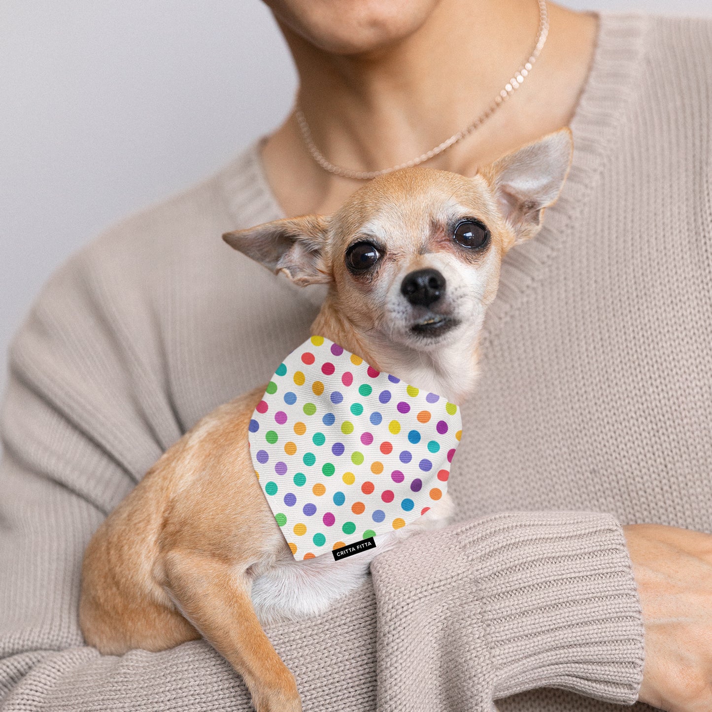 Paws & Polka Dog Bandana - Dapper Pet Accessory