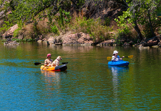 Outdoor Activities with Your Dog