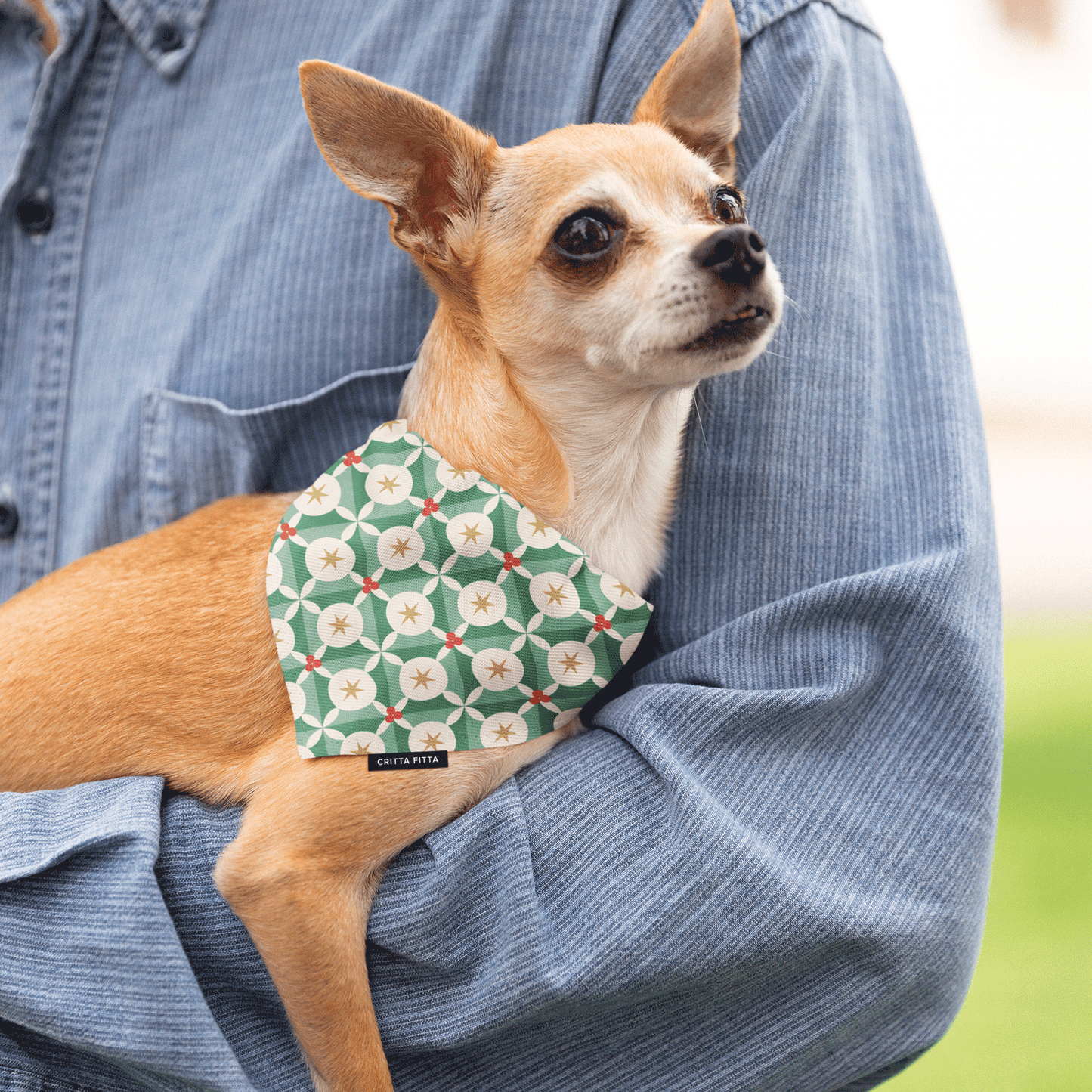 Berry Bright Dog Bandana - Stylish & Vibrant Pet Accessory