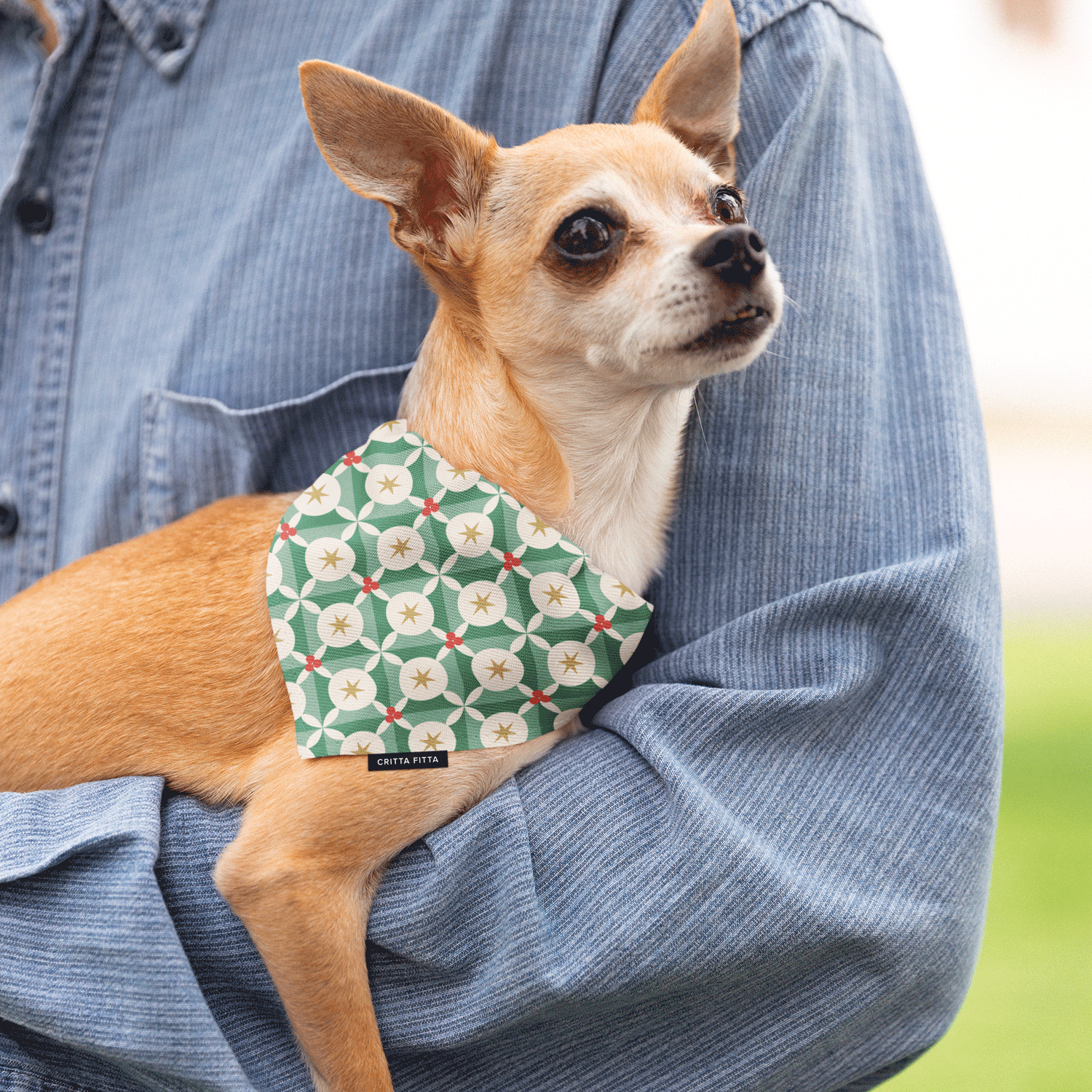 Berry Bright Dog Bandana - Stylish & Vibrant Pet Accessory