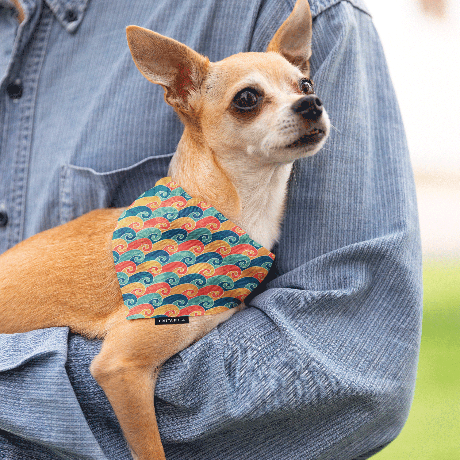 Leash Out Water Dog Bandana - Stylish & Functional