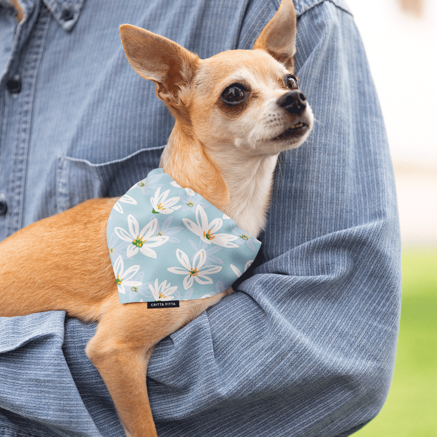 Lily Loves Licks Dog Bandana - Cute & Comfy Style