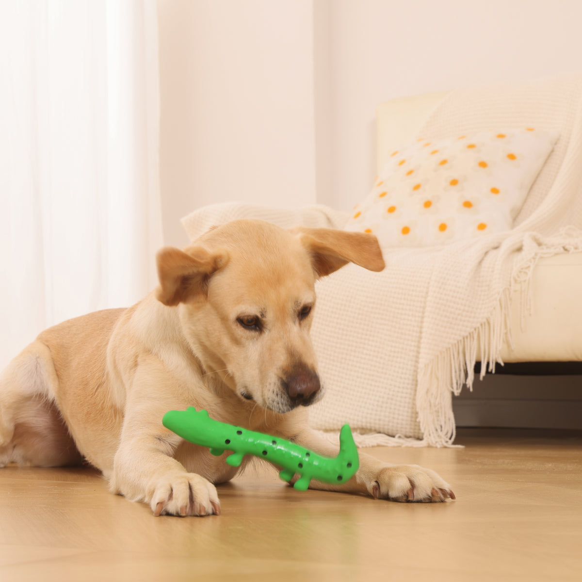 Durable Interactive Natural Latex Squeaky Dog Toy in Green Lizard Design