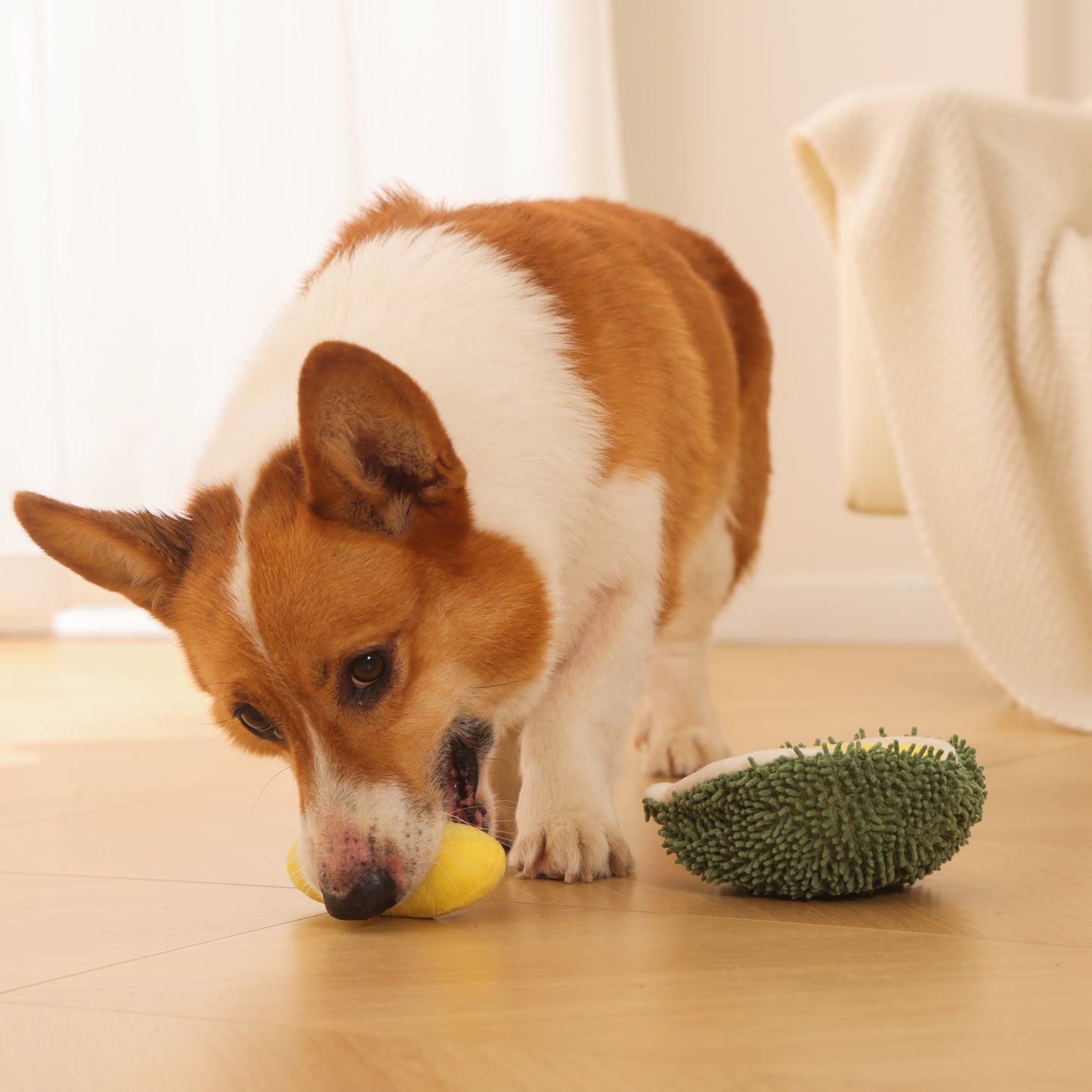 Interactive Plush Durian Squeaky Crinkle Dog Toy