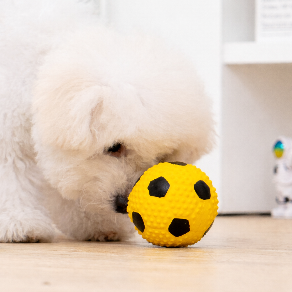 Natural Latex Squeaky Soccer Ball Toy (Yellow)