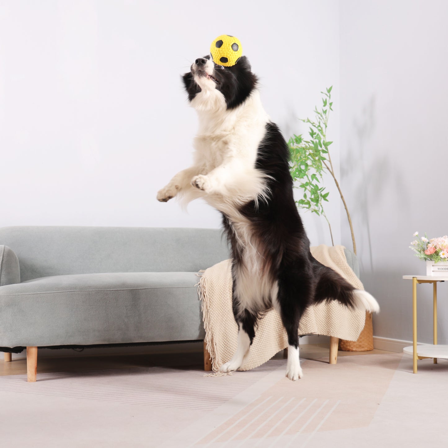 Latex Squeaky Soccer Ball Dog Toy (Yellow)