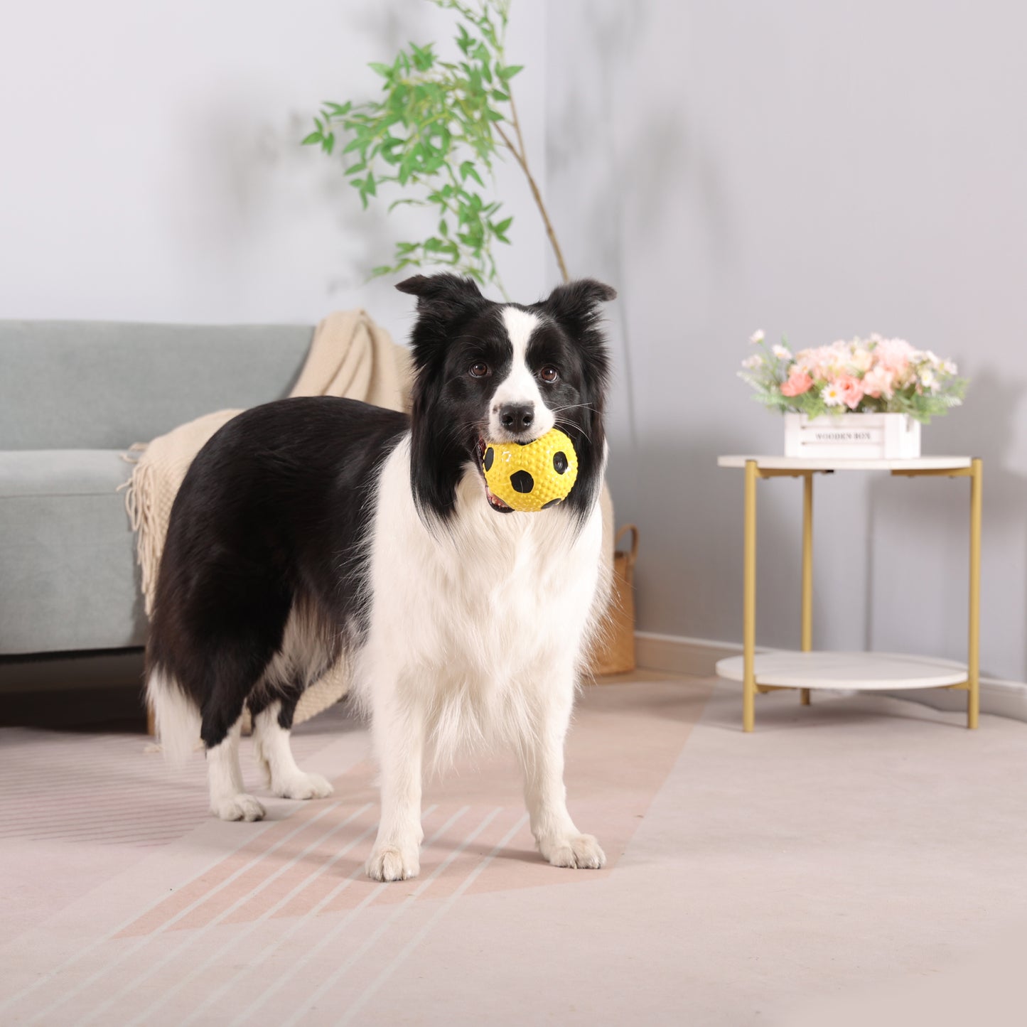 Latex Squeaky Soccer Ball Dog Toy (Yellow)