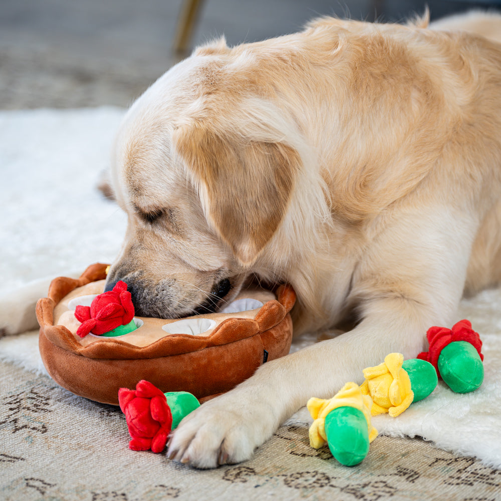 Interactive Hide and Seek Tulips Dog Toy - Fun & Engaging Puzzle for Dogs