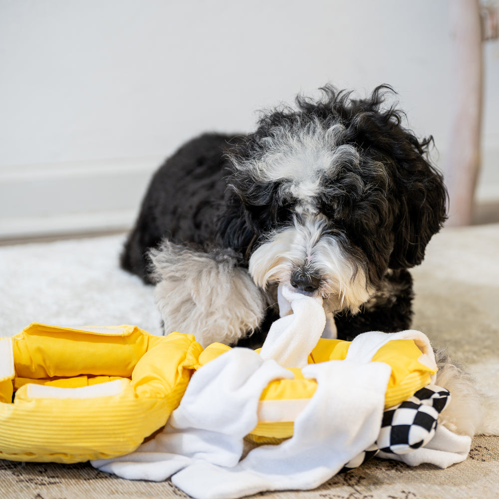 Interactive Hide & Seek Beehive Dog Toy - Engaging Puzzle for Dogs