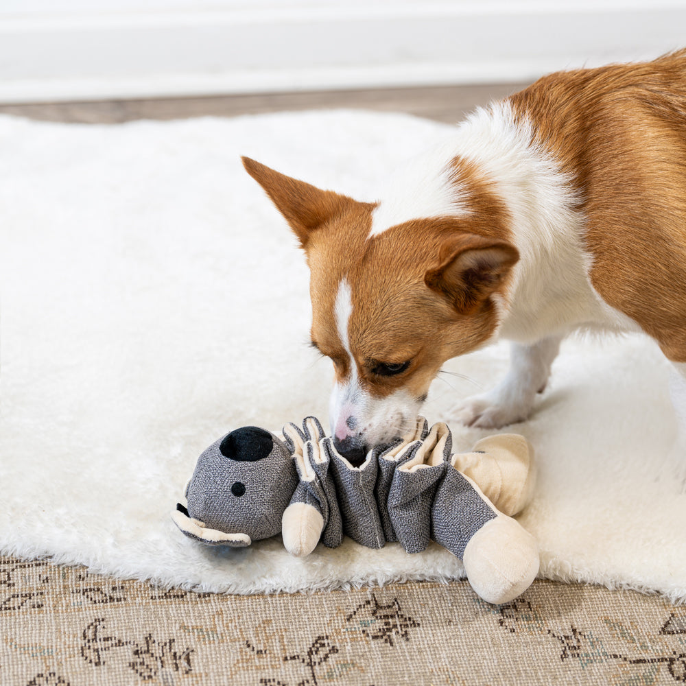 Interactive Koala Dog Toy - Fun & Stimulating Play for Dogs