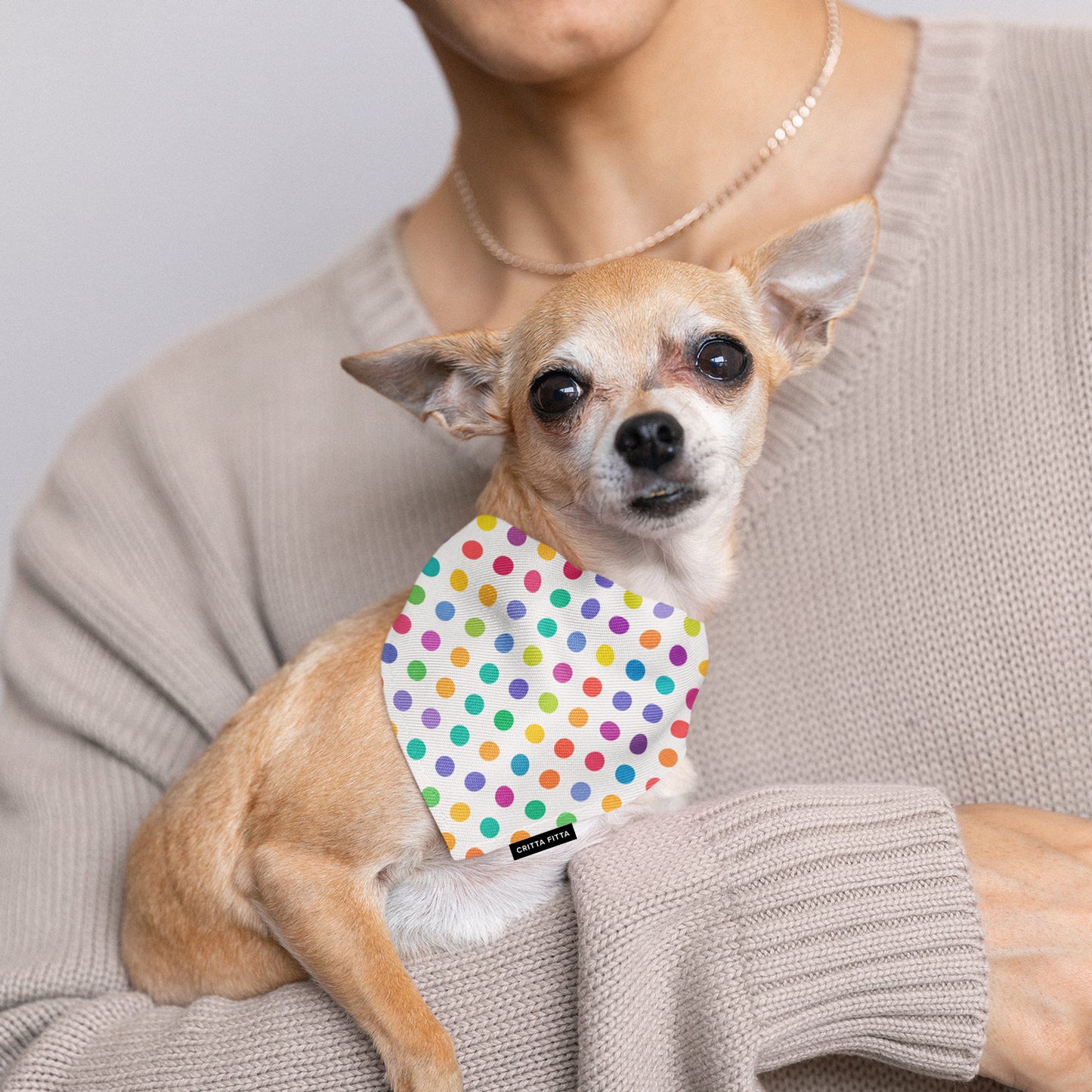 Paws & Polka Dog Bandana - Dapper Pet Accessory