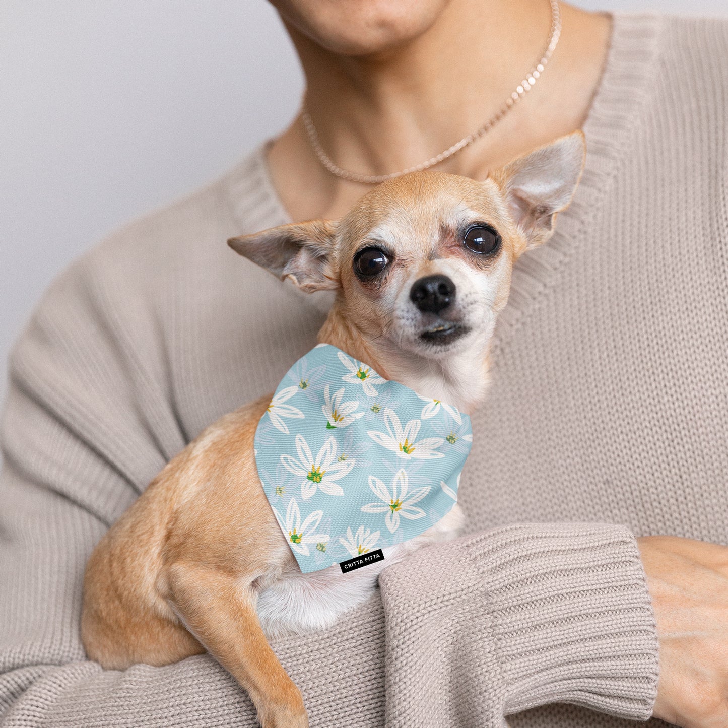 Lily Loves Licks Dog Bandana - Cute & Comfy Style