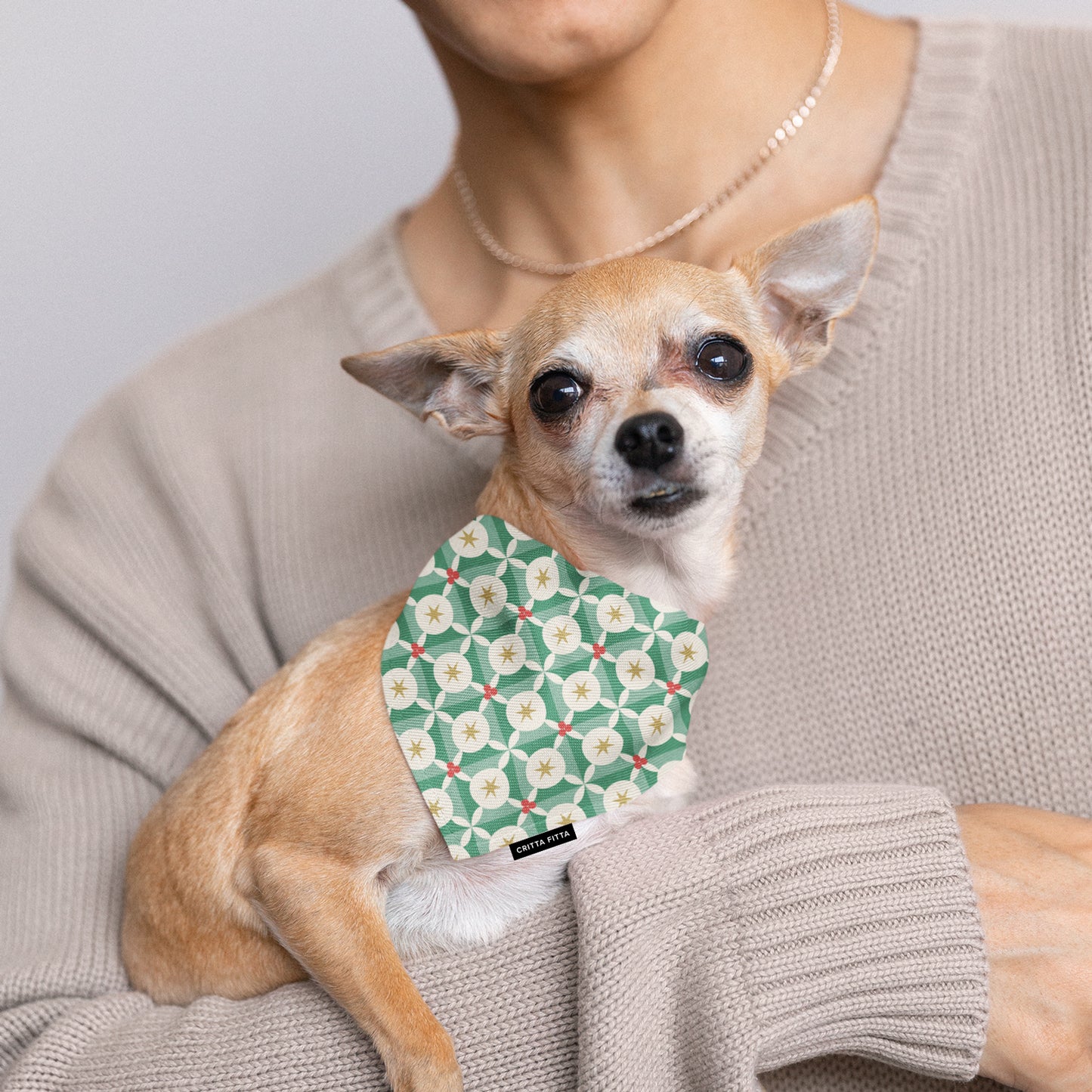 Berry Bright Dog Bandana - Stylish & Vibrant Pet Accessory