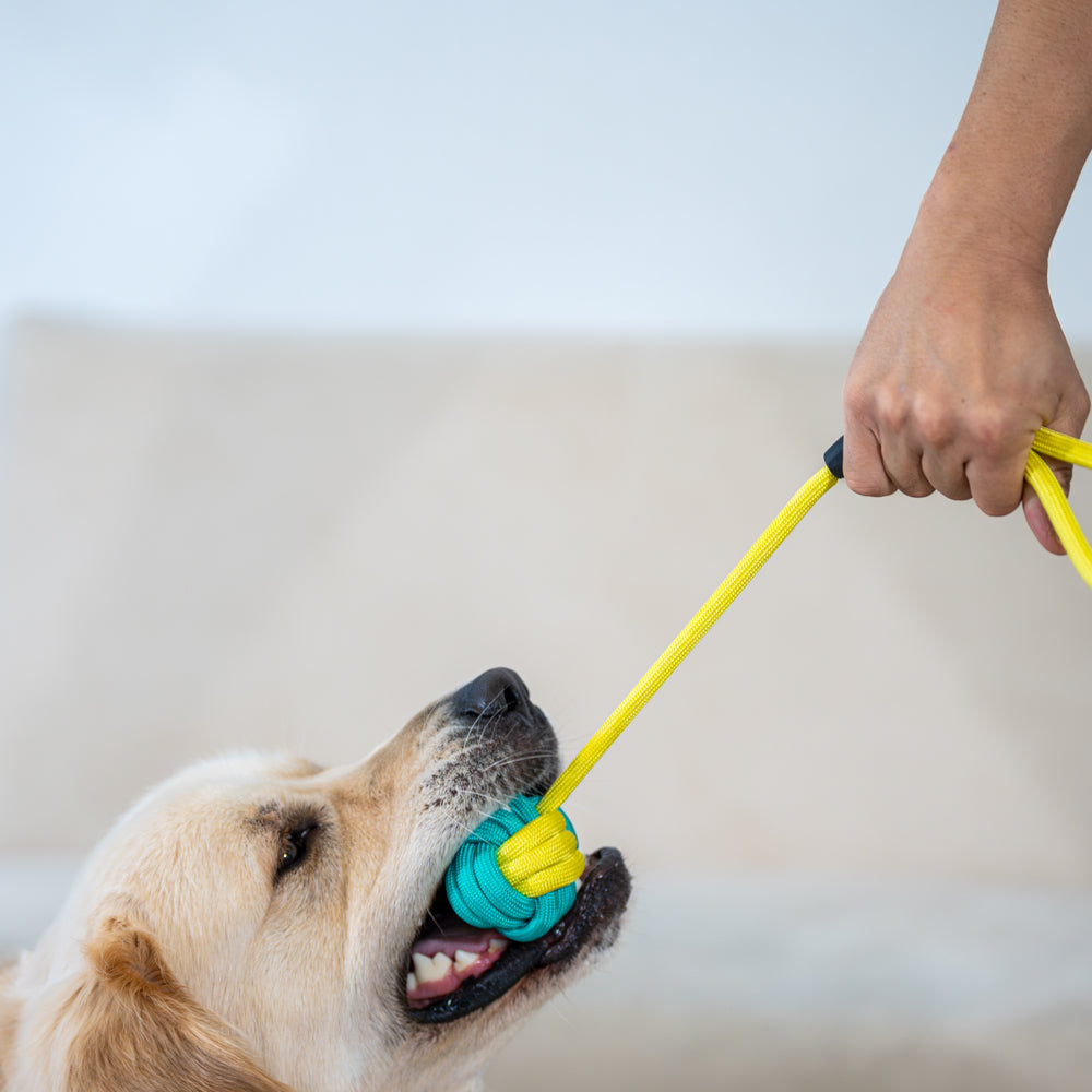 Interactive Rope Dog Toy (Yellow + Teal) - Durable & Fun Play for Dogs