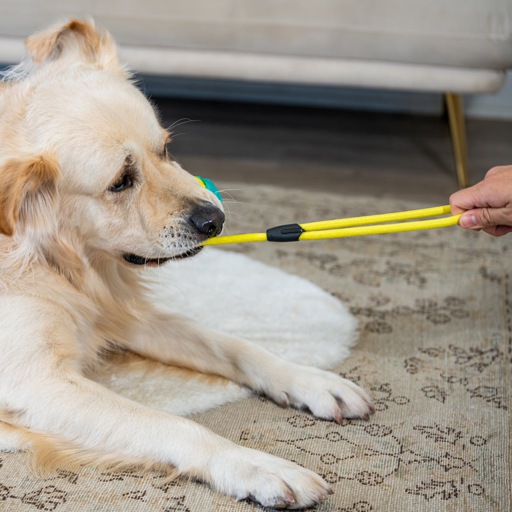 Interactive Rope Dog Toy (Yellow + Teal) - Durable & Fun Play for Dogs