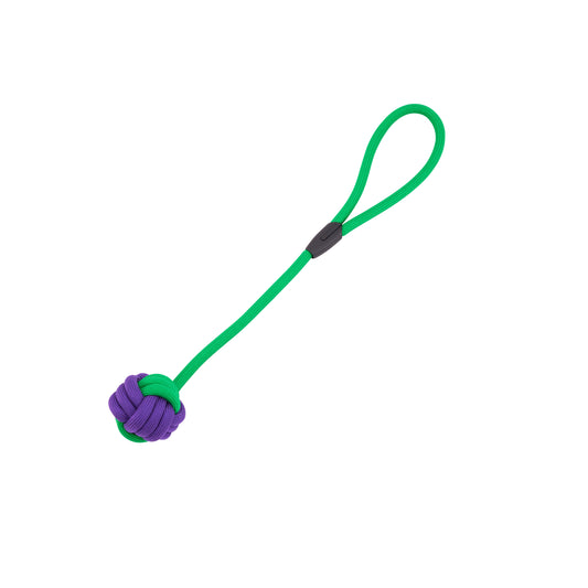 Interactive Rope Dog Toy (Green + Purple)