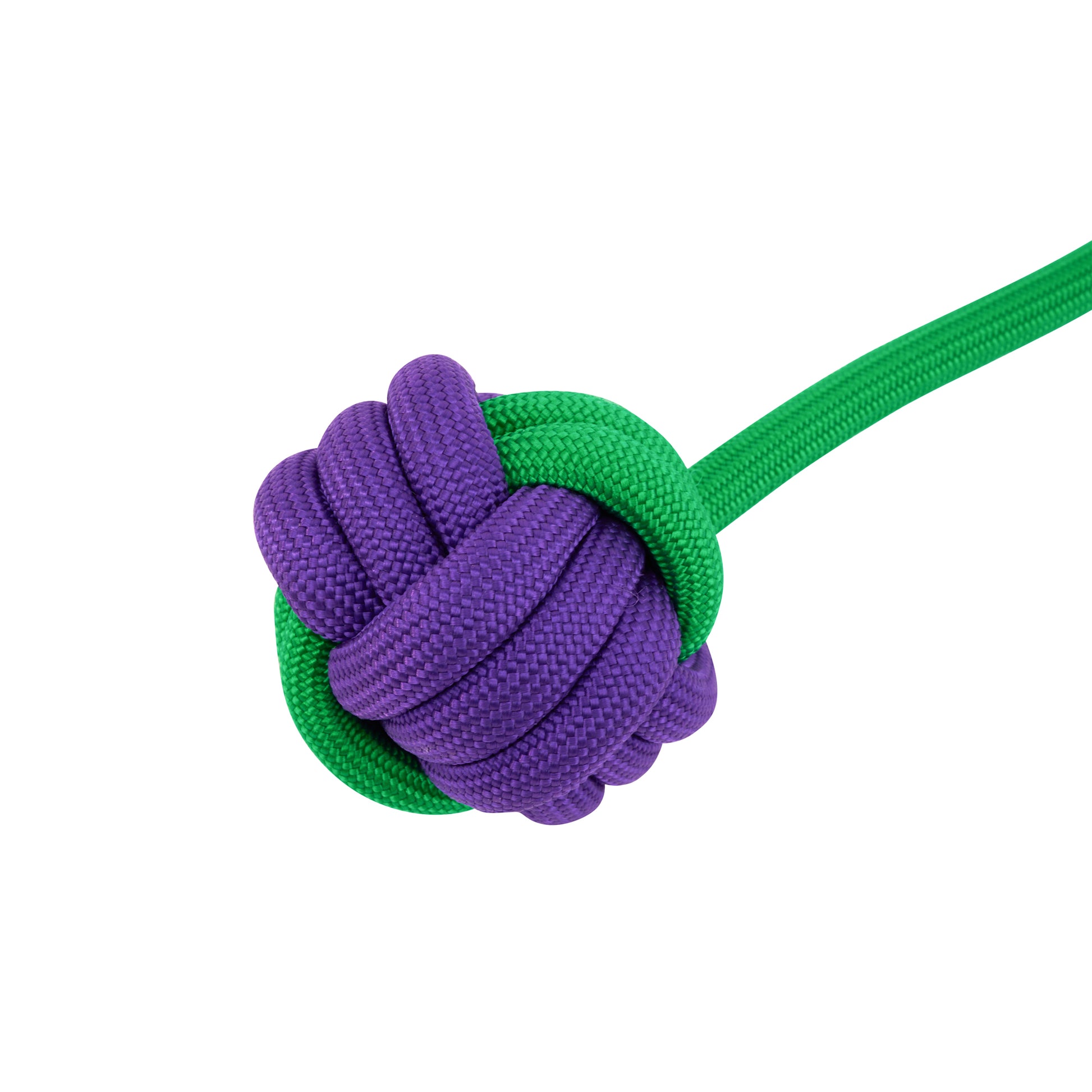 Interactive Rope Dog Toy (Green + Purple)